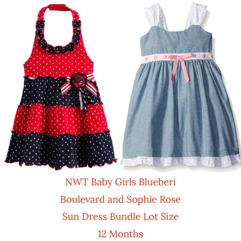 Blueberi Blvd Sophie Rose Baby Girl Sun Dress Lot‎